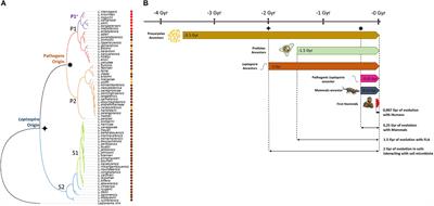 Leptospirosis: toward a better understanding of the environmental lifestyle of Leptospira